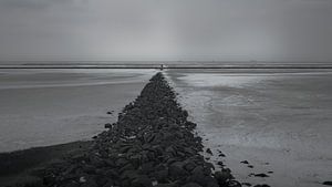 Weg durch die Weite