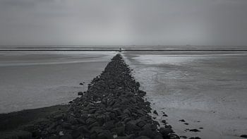 Weg durch die Weite