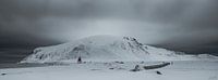 Cold North