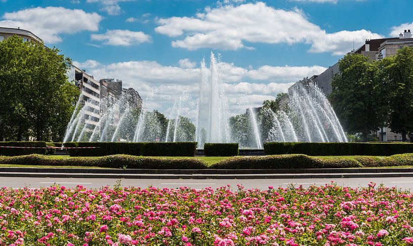Fuchsa flowers and a round city fountain in the background by Werner Lerooy