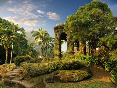 Brazil dream landscape