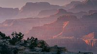 Sonnenuntergang am Grand Canyon von Henk Meijer Photography Miniaturansicht