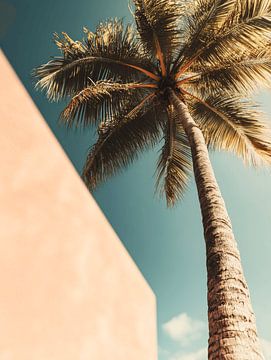Tropical palm tree by Studio Allee