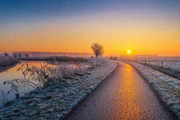 The Lonely Fisherman van Sander Peters