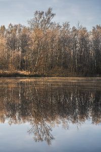 Zonsopkomst aan het water in de winter