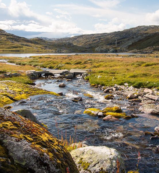 Stenen in de rivier by Klaas Hollebeek
