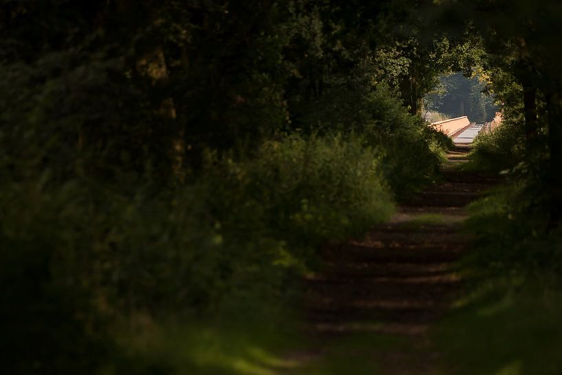 To the Moerputten Bridge by Bas Ronteltap