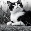TW living - black white photo - Cat 1 van TW living