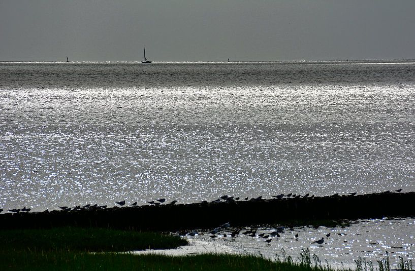 Nordsee 5 par Edgar Schermaul