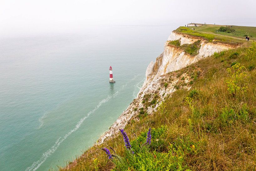 Jurassic coast par ton vogels