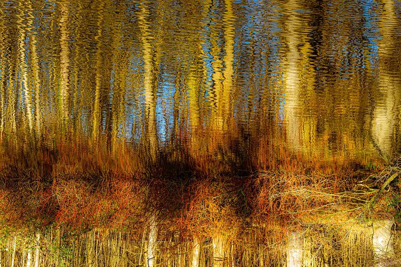 Spiegeling van bomen in meer in winter abstract van Dieter Walther