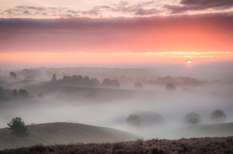 Posbank in de mist van Peter Bijsterveld