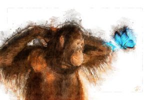 Orang-outan et papillon