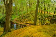 Wald von Michel van Kooten Miniaturansicht