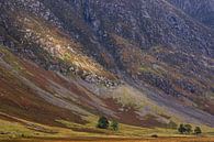 Loch Achtriochtan von Miranda Bos Miniaturansicht