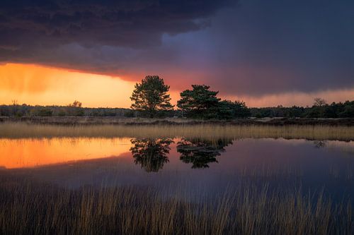 Onweersbui met Zonsondergang Regte Heide
