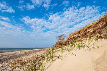 Plage sur la côte de la mer Baltique près de Graal Müritz sur Rico Ködder