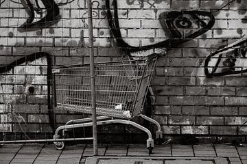 Cart in Trout Street by Jan Van Bizar