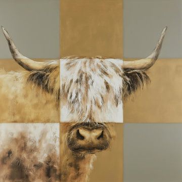 Hooglander in vlakken van Color Square