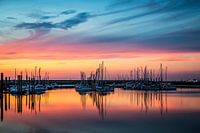 Harbor nights
