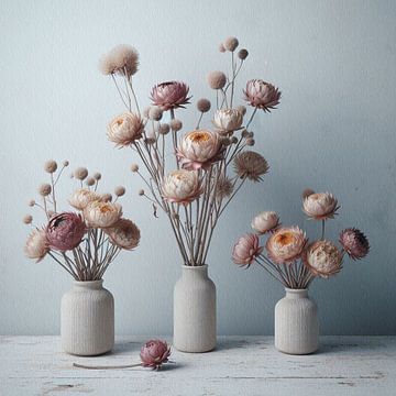 Strohblumen von Kay Weber