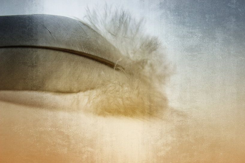 Leichtigkeit von Dagmar Marina