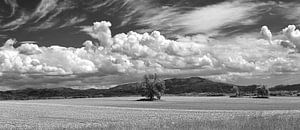 Wolkenpanorama SW von Ingo Laue