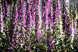 Wildblumen (digital bearbeitetes Foto) von Rini Kools