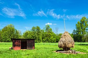 Heuschober und Wiese im Spreewald
