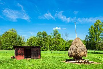 Hayshack and meadow in the Spreewald area, Germany