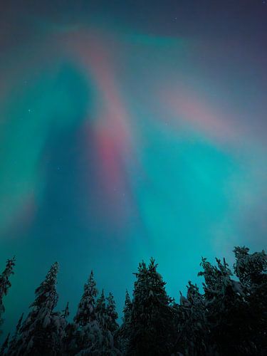 Dance of the Northern Lights in Lapland