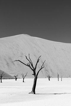 Toter Baum im Deadvlei, Namibia Schwarz und weiß von Gijs de Kruijf