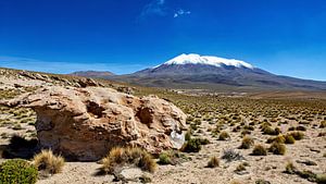 Die Anden des Altiplanos in Bolivien