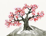 Alter Blütenbaum von Bianca Wisseloo Miniaturansicht