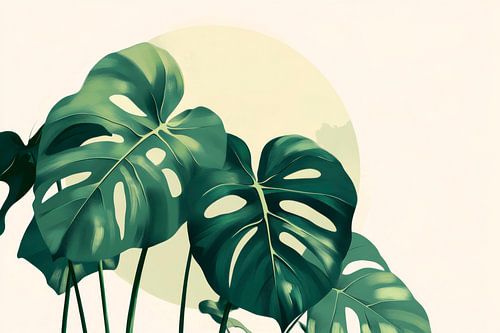 Tropical foliage in a circle of light