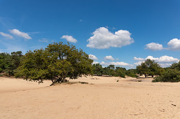 rust in de Duinen