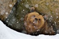 It is cold outside by Loulou Beavers thumbnail