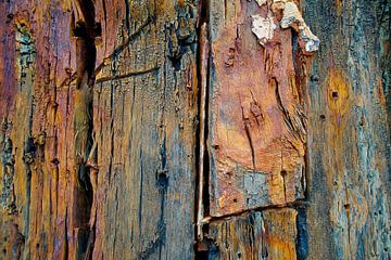 Weathered wood by Wim van der Geest