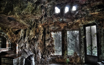 The Jungle Room