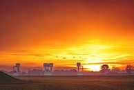 Driel dam and lock complex at sunset by Nicky Kapel thumbnail
