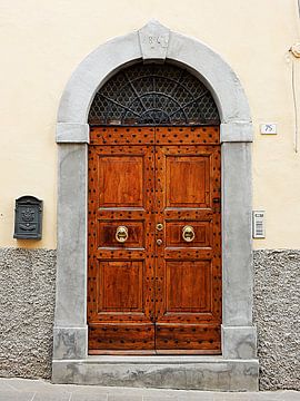 Oude houten deur Castiglione del Lago van Dorothy Berry-Lound