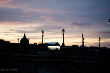 Parijs - Skyline bij zonsondergang van Eline Willekens