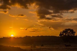 Sunrise by Carla Eekels