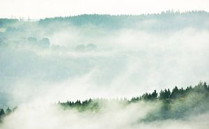 Nebliger Morgen von Danny Slijfer Natuurfotografie