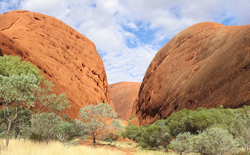 Uluru von Matthias Brix