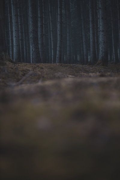 entrez... par Matthias Ettinger