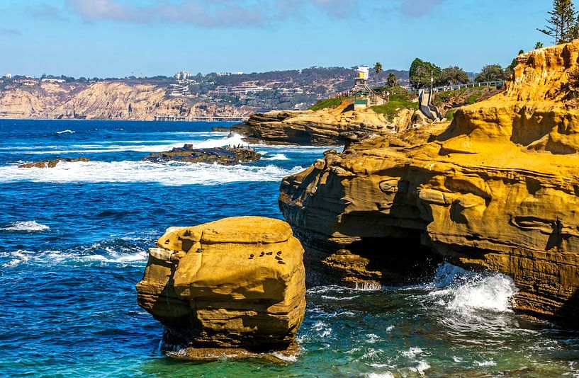 Een heel mooi landschap in San Diego. van Mikhail Pogosov