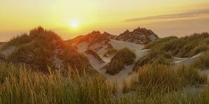 Terschelling duin bij de Boschplaat van Dirk van Egmond