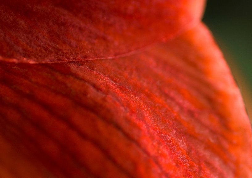 Nabijheid von Foto Facet