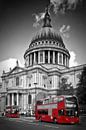 LONDON St. Paul?s Cathedral & Red Bus von Melanie Viola Miniaturansicht